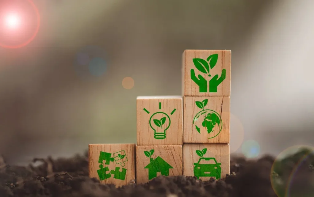 Support Local and Sustainable Brands